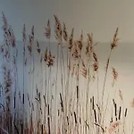 公寓 Boyenapart 吉日茨科